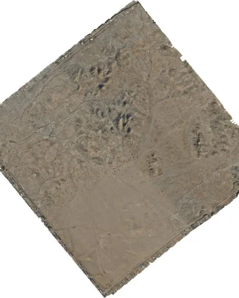 ortho-12