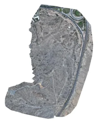 ortho-14