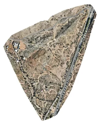 ortho-15