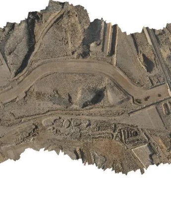 ortho-19